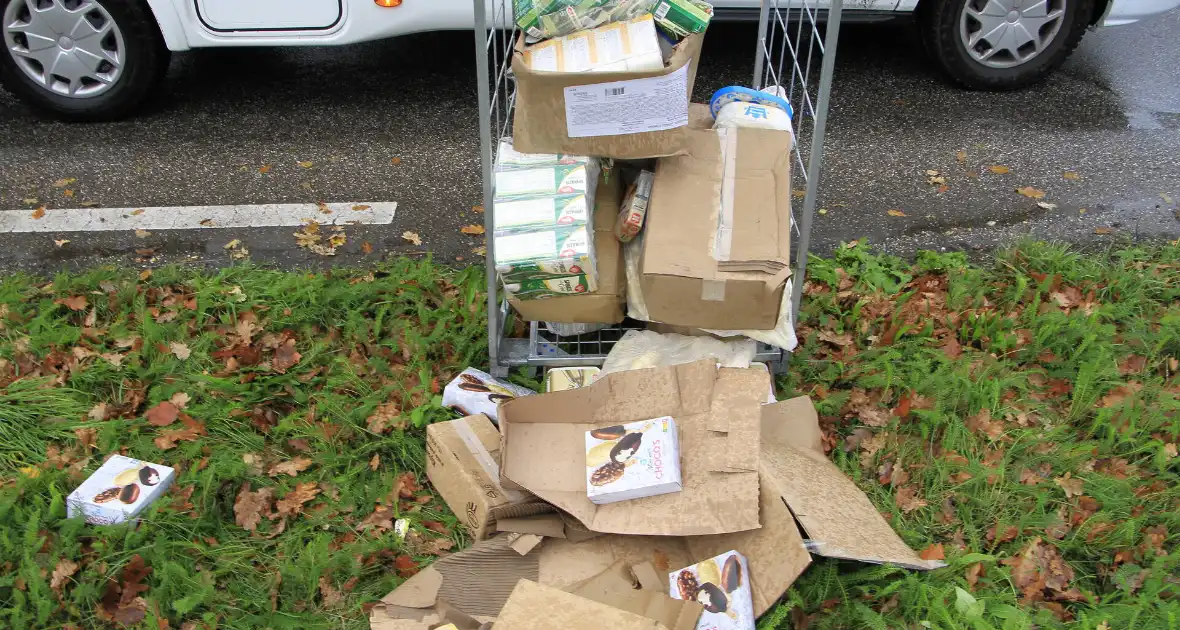 Vrachtwagen verliest diiepvrieshandel tijdens het rijden - Foto 10