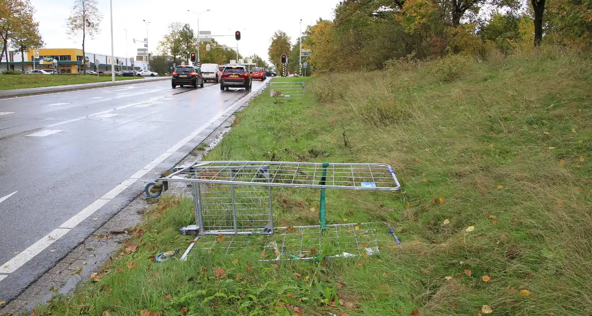 Vrachtwagen verliest diiepvrieshandel tijdens het rijden - Foto 11