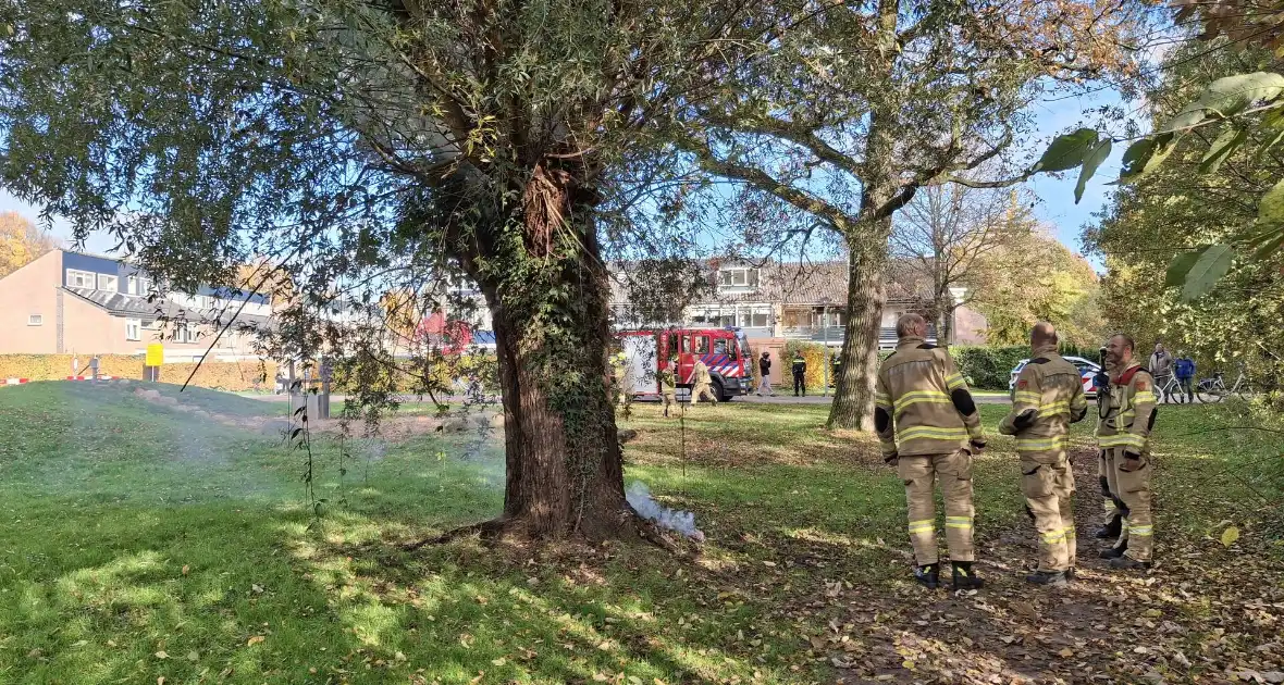 Boombrand trekt publiek