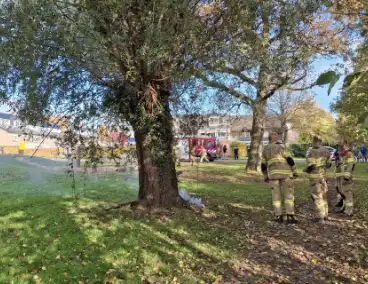 Boombrand trekt publiek