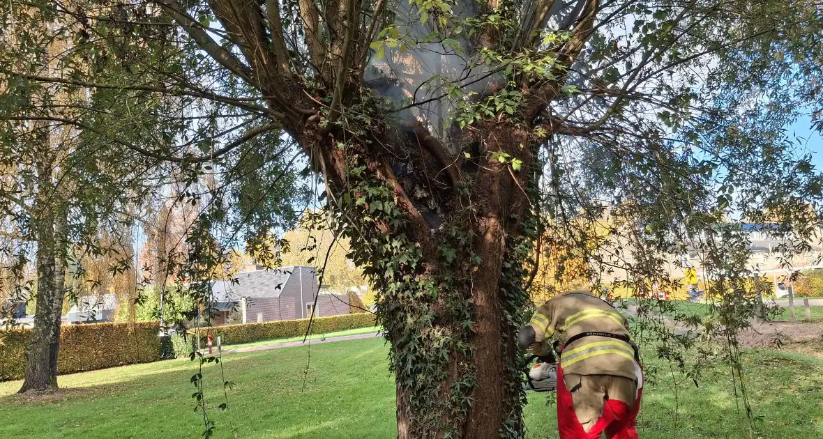 Boombrand trekt publiek - Foto 1