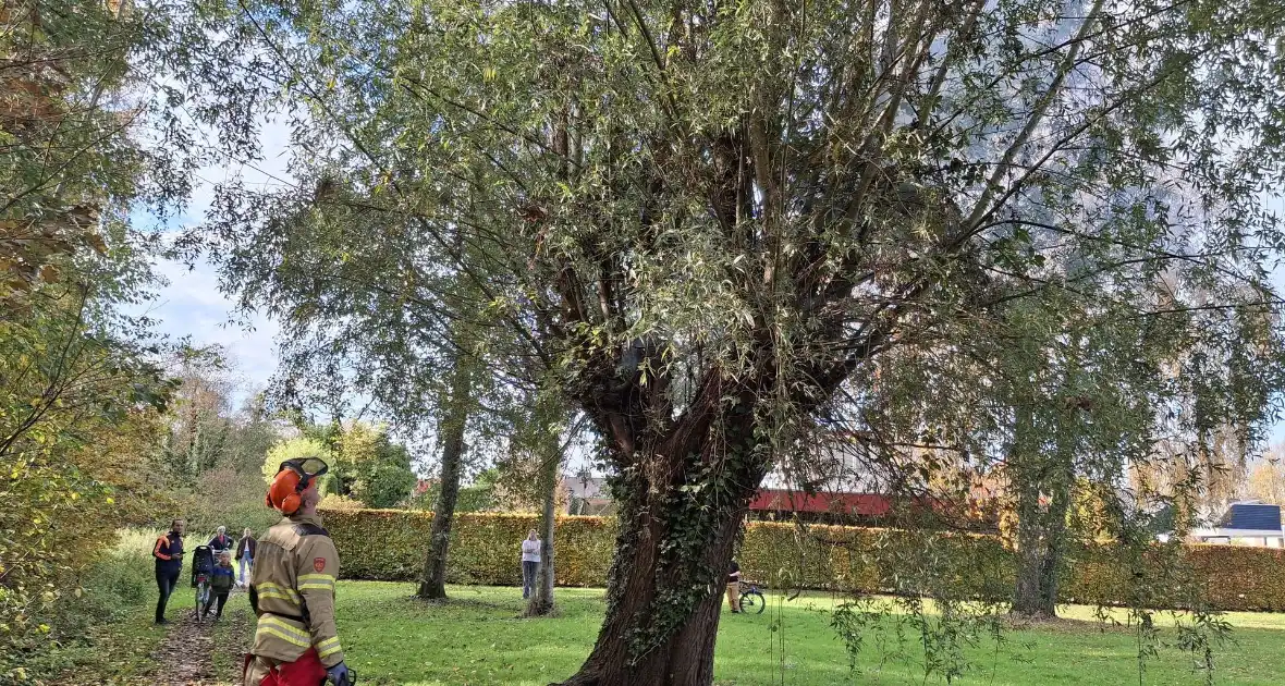 Boombrand trekt publiek - Foto 2