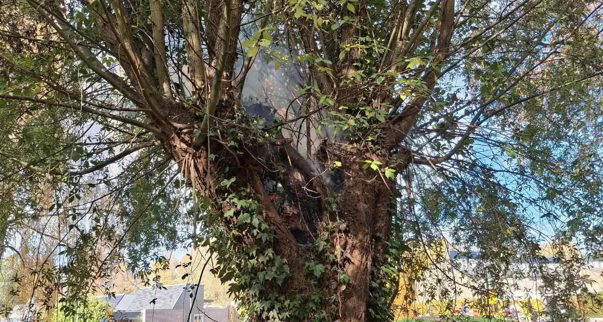 Boombrand trekt publiek - Foto 5