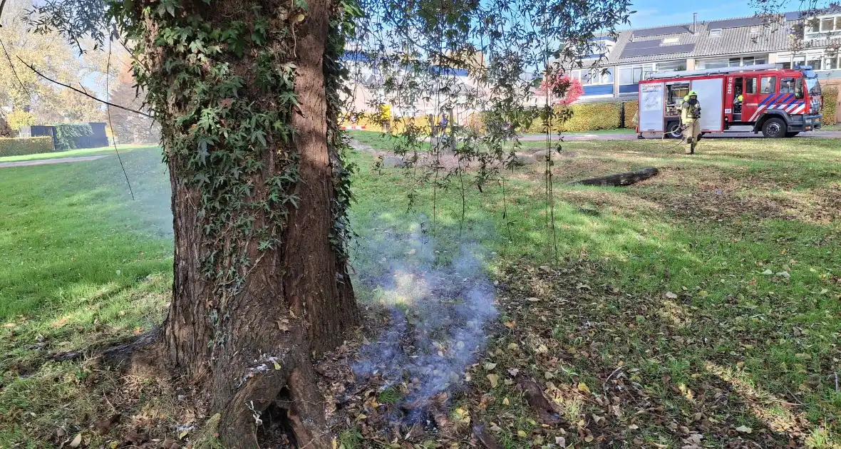 Boombrand trekt publiek - Foto 6