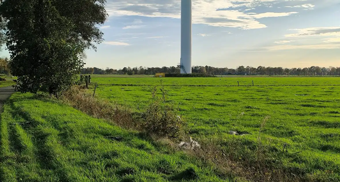 Herstel windmolen na brand vergt tijd - Foto 11