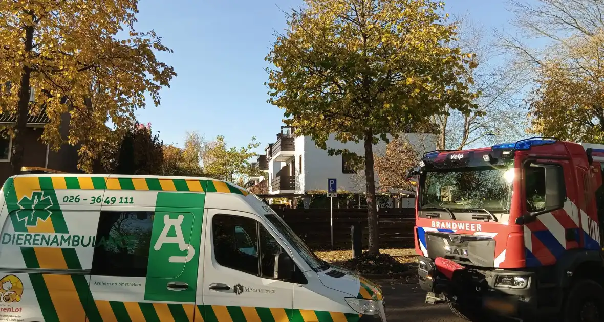 Vogel vast in speeltoestel, hulpdiensten ingezet