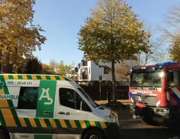 Vogel vast in speeltoestel, hulpdiensten ingezet