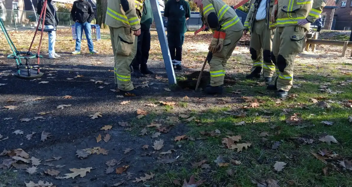 Vogel vast in speeltoestel, hulpdiensten ingezet - Foto 2