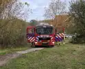 Brandweer blust brand in boomstronk