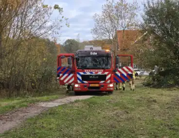 Brandweer blust brand in boomstronk