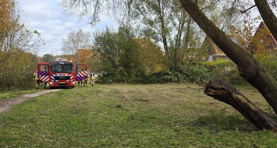 Brandweer blust brand in boomstronk - Foto 1