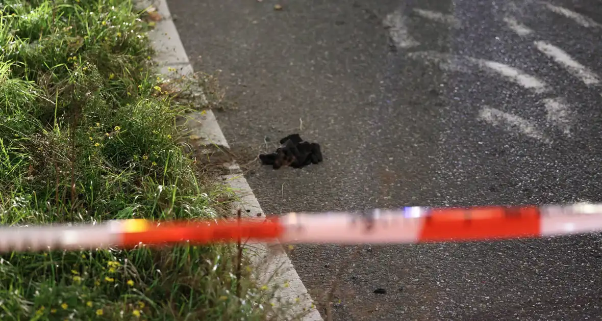 Vrouw gewond bij schietincident - Foto 12