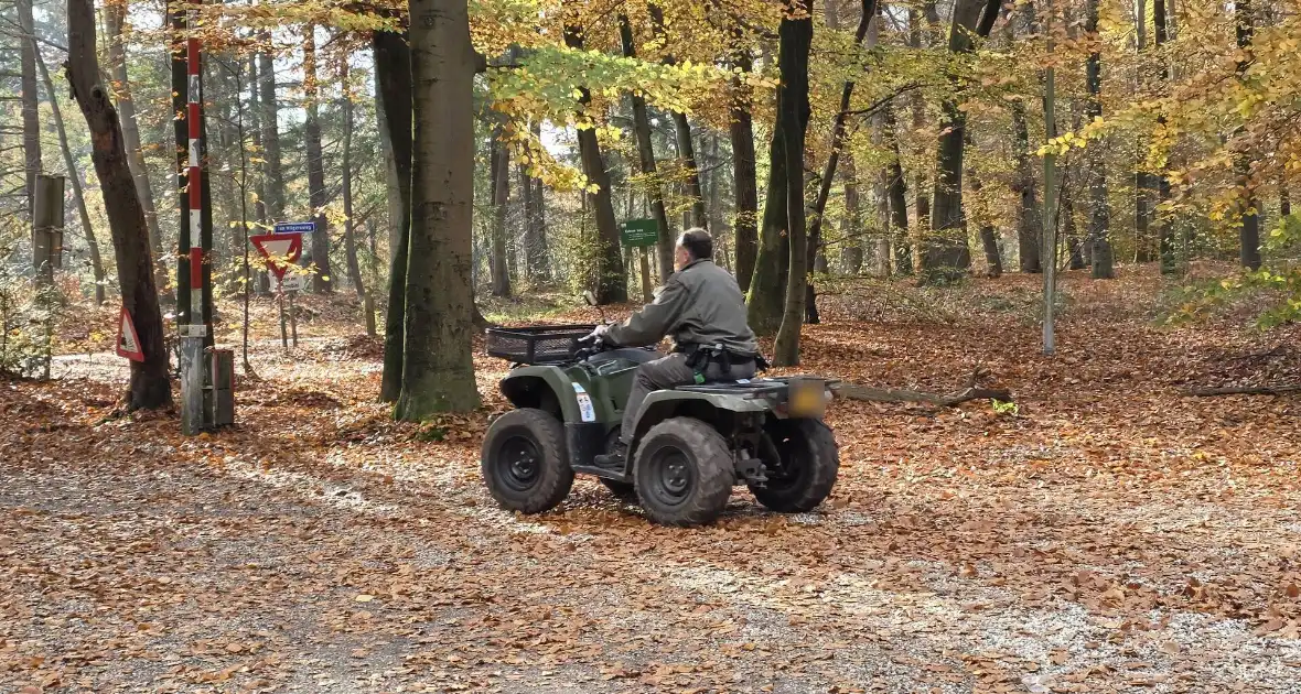 Grote zoekactie naar vermist kind - Foto 1