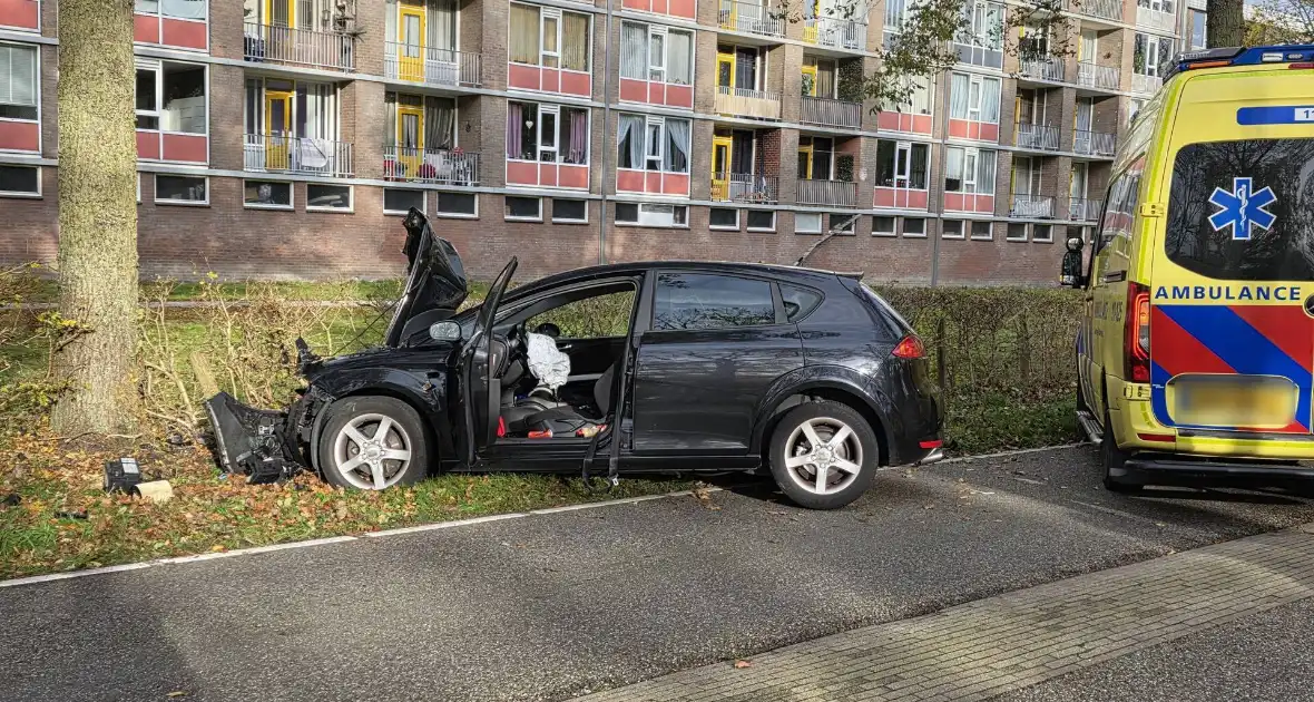 Bestuurder botst frontaal tegen boom
