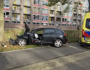 Bestuurder botst frontaal tegen boom