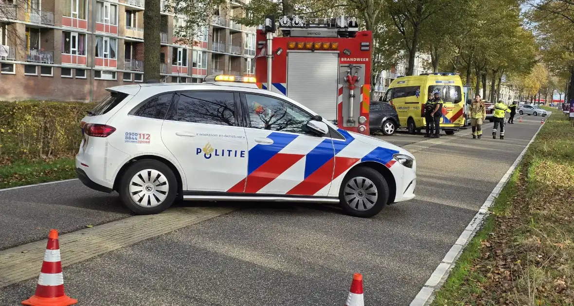 Bestuurder botst frontaal tegen boom - Foto 1