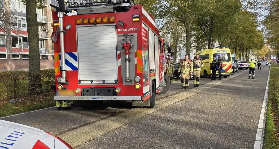 Bestuurder botst frontaal tegen boom - Foto 2