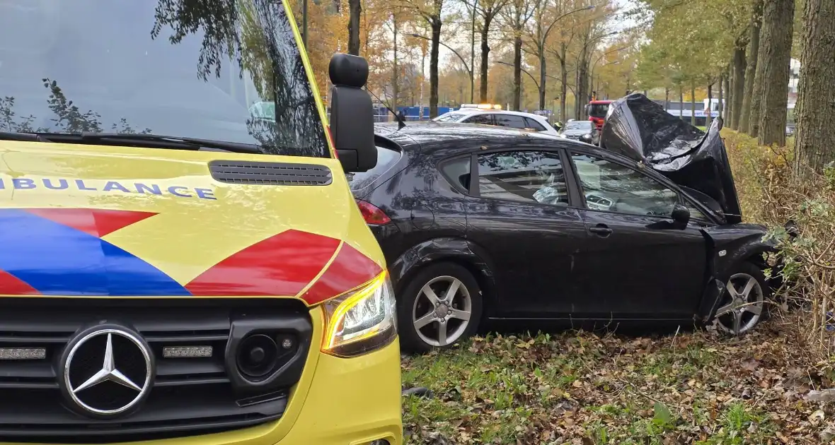 Bestuurder botst frontaal tegen boom - Foto 5