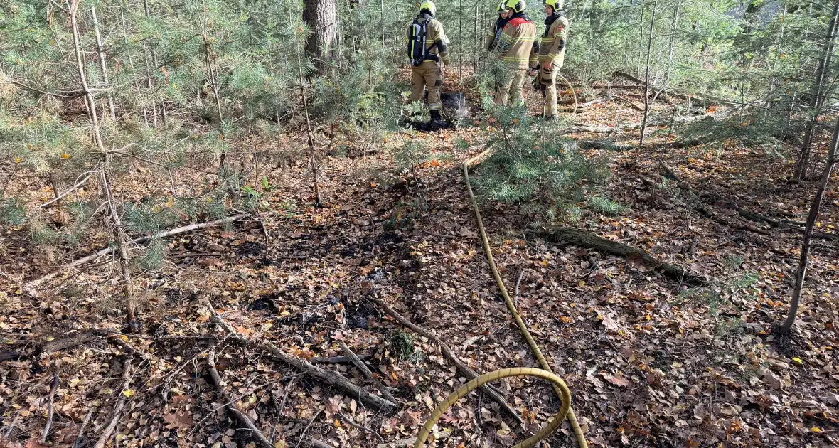 Brand verwoest bosgebied