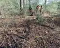 Brand verwoest bosgebied