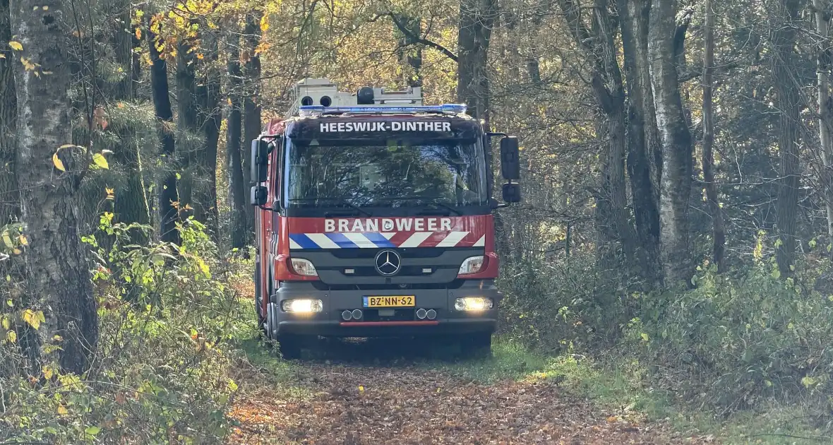 Brand verwoest bosgebied - Foto 1