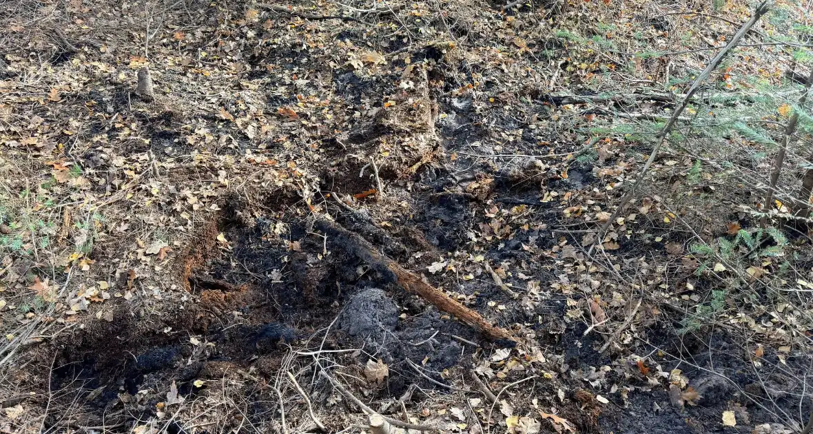 Brand verwoest bosgebied - Foto 10