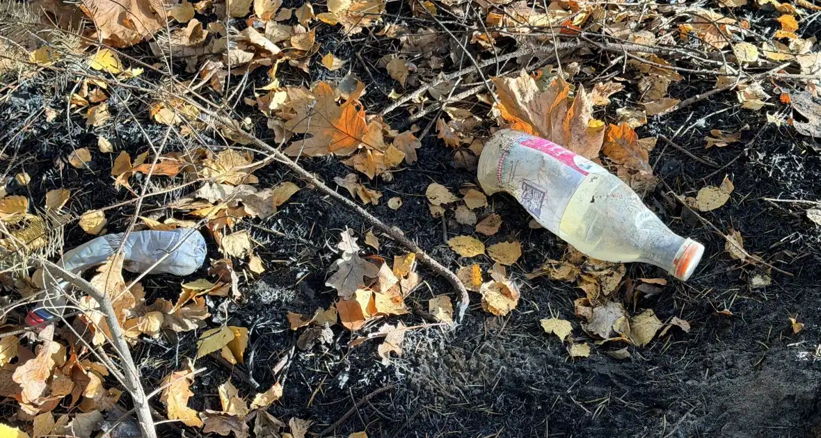 Brand verwoest bosgebied - Foto 11