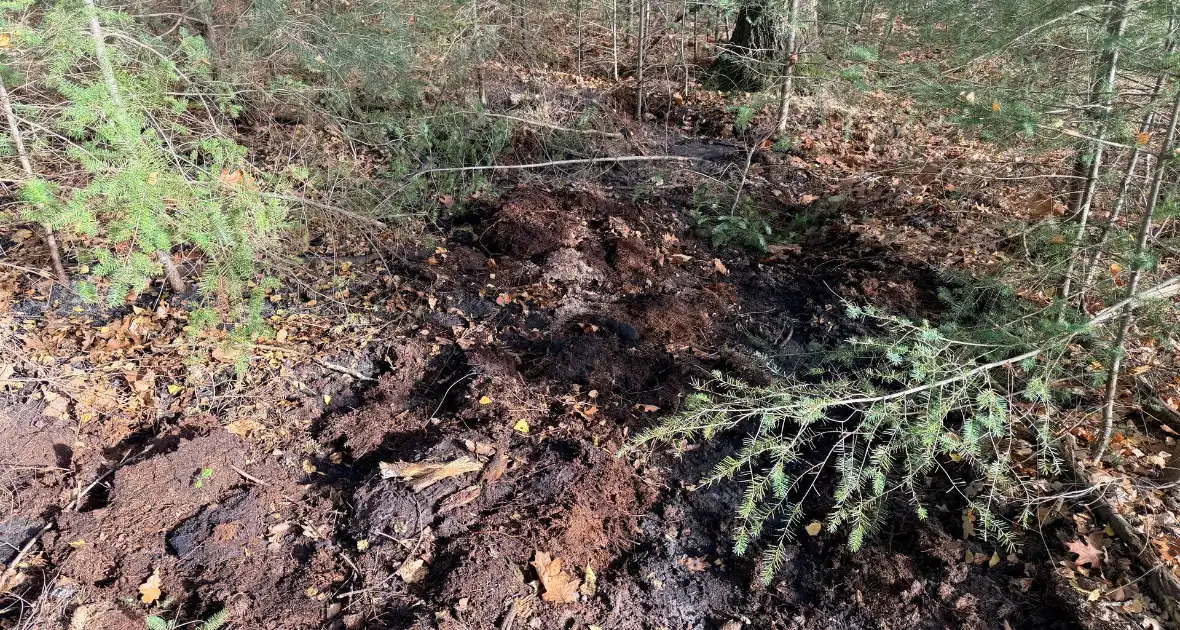 Brand verwoest bosgebied - Foto 12