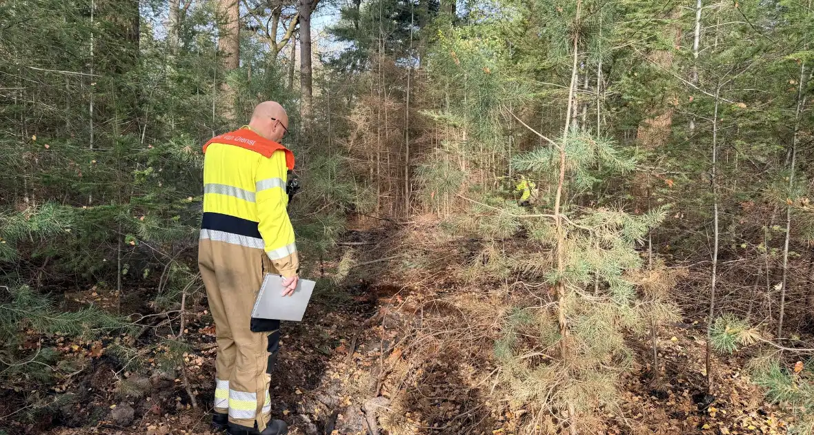 Brand verwoest bosgebied - Foto 13