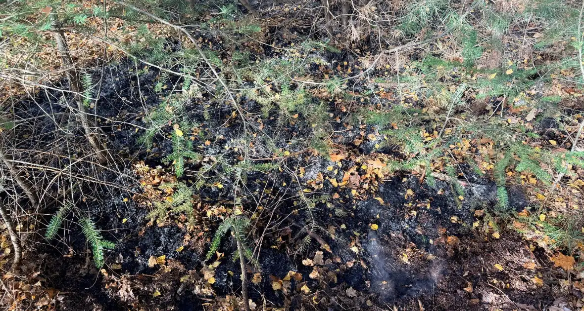 Brand verwoest bosgebied - Foto 3