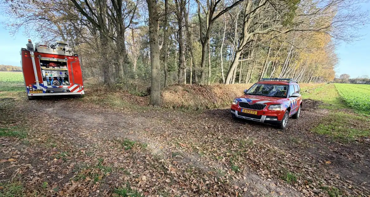 Brand verwoest bosgebied - Foto 5