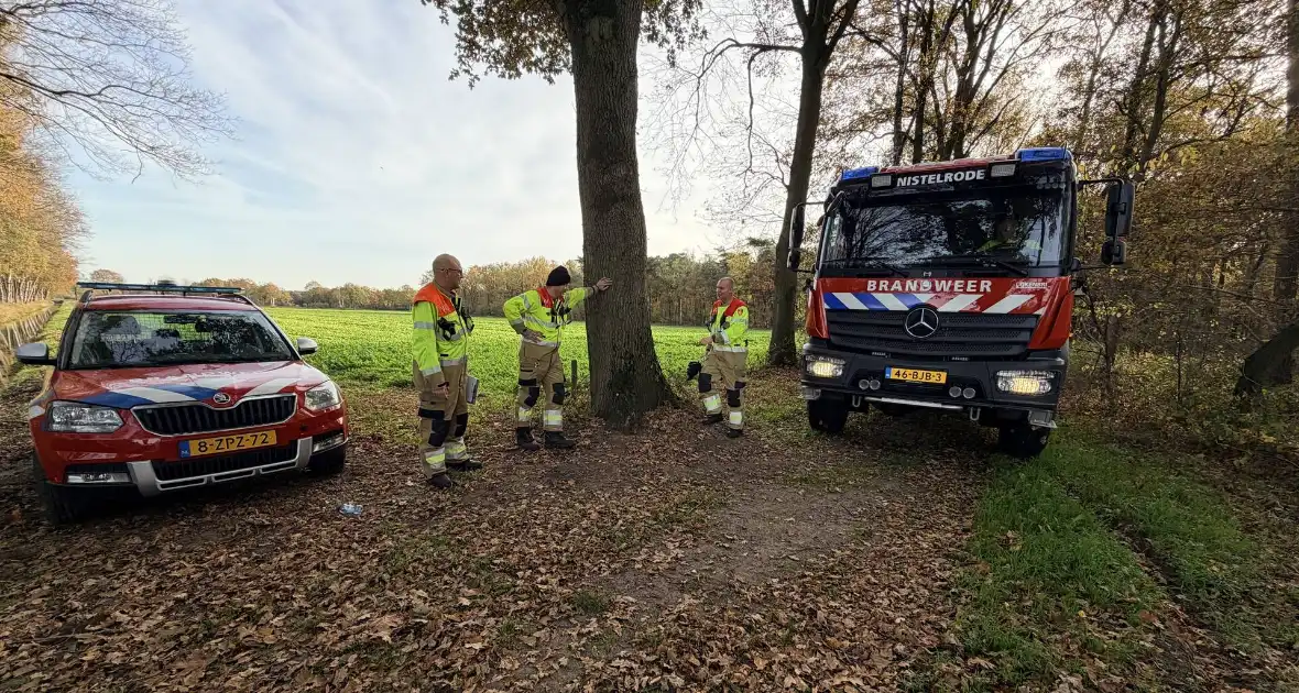 Brand verwoest bosgebied - Foto 6