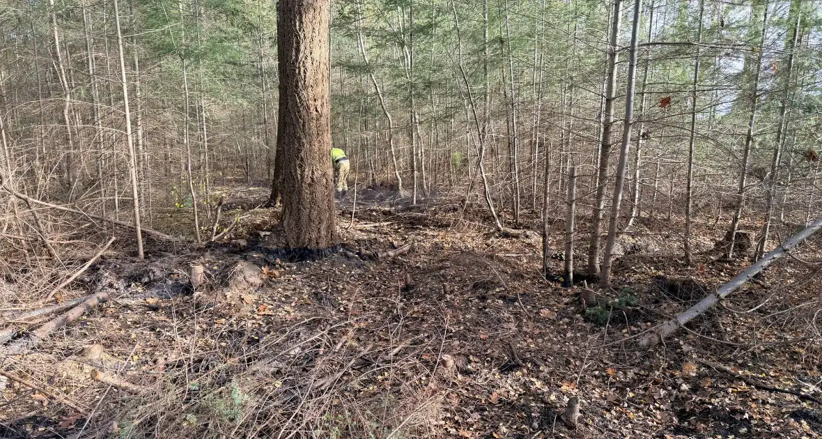 Brand verwoest bosgebied - Foto 9