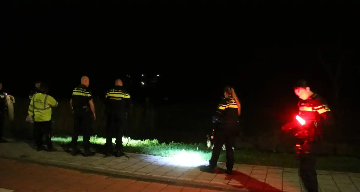 Ontsnapte emoe houdt politie bezig - Foto 4