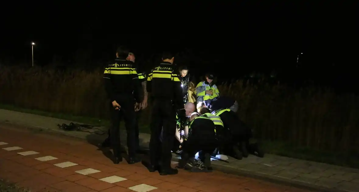 Ontsnapte emoe houdt politie bezig - Foto 6