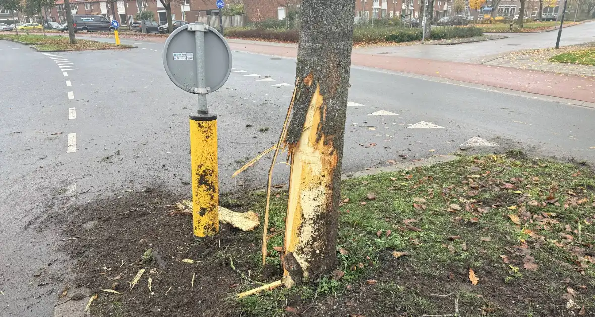 Auto crasht tegen boom via middenberm, schade fors - Foto 4