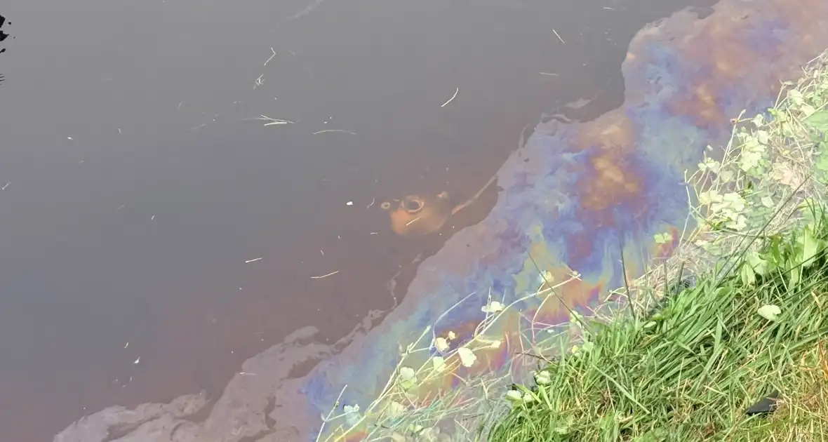 Auto belandt op kop in sloot, bestuurder gewond naar ziekenhuis - Foto 6