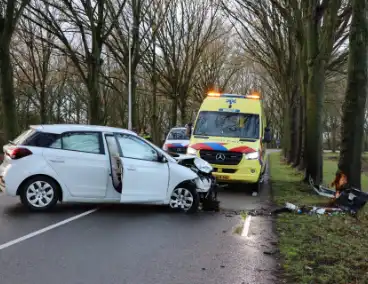 Eenzijdig ongeval eindigt tegen boom