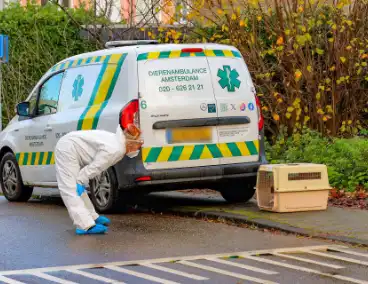 Brandweer redt zwaan met vermoedelijke vogelgriep