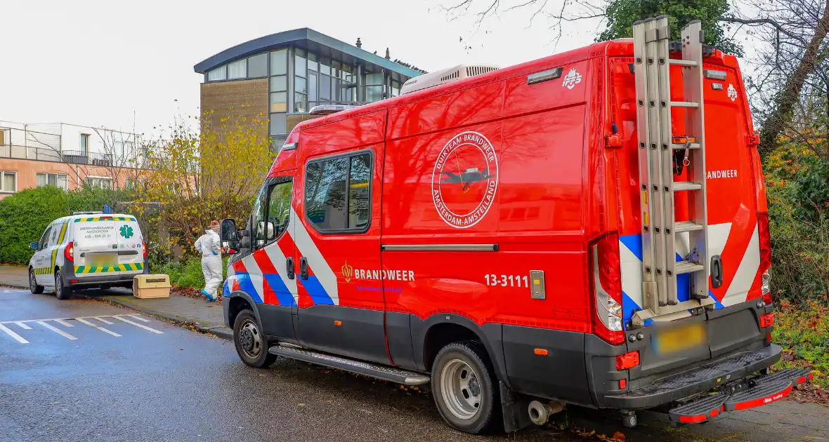 Brandweer redt zwaan met vermoedelijke vogelgriep - Foto 1