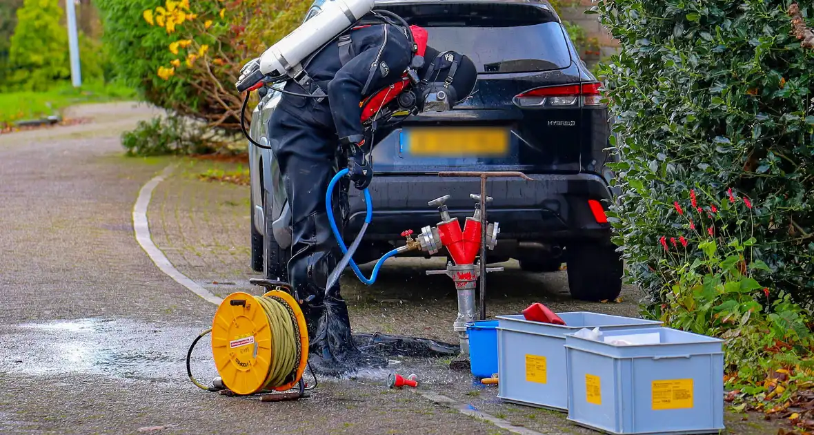 Brandweer redt zwaan met vermoedelijke vogelgriep - Foto 4
