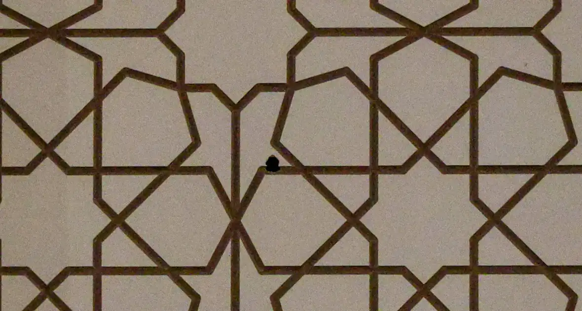 Schietincident bij partycentrum leidt tot ontruiming - Foto 2