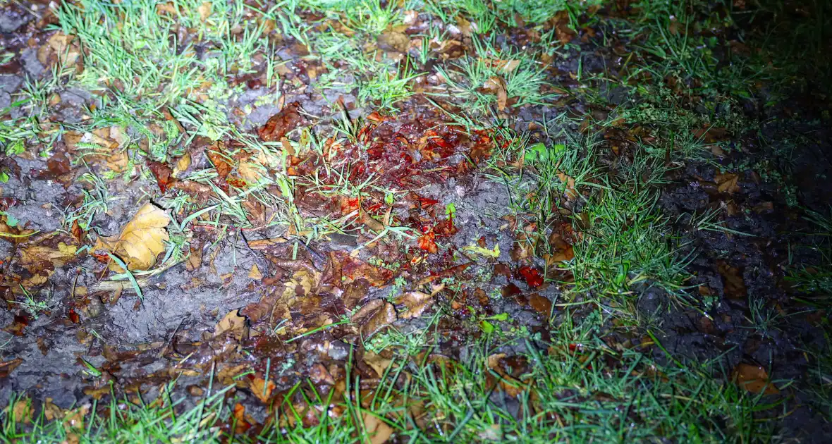 Fietser vliegt door rood bij Pompenburg en verliest tanden na harde botsing - Foto 4