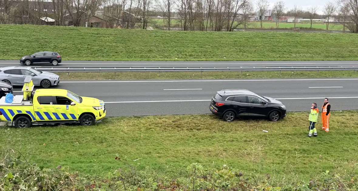 Hond overleden na aanrijding met auto - Foto 1