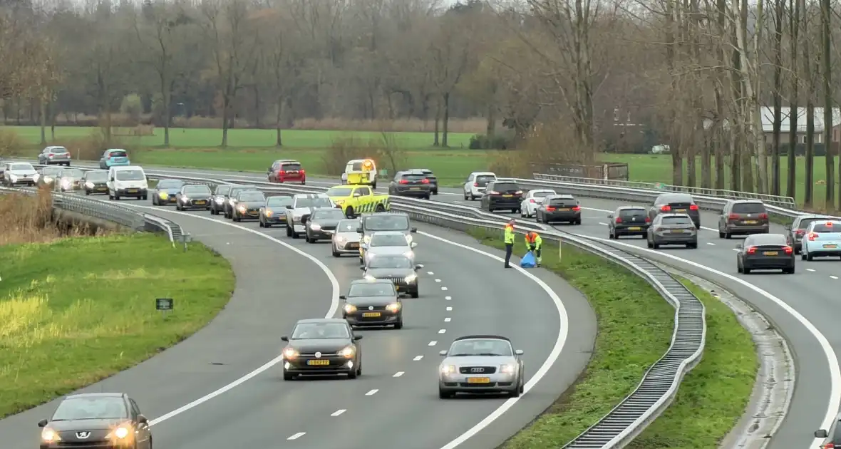 Hond overleden na aanrijding met auto - Foto 3