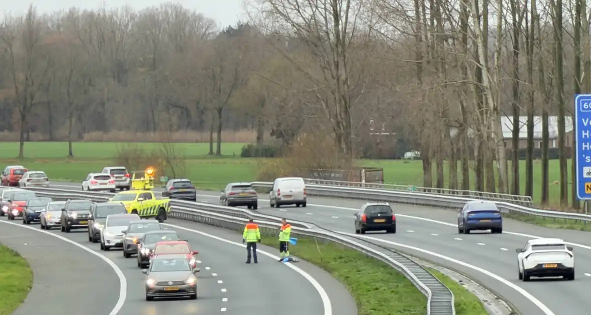 Hond overleden na aanrijding met auto - Foto 7