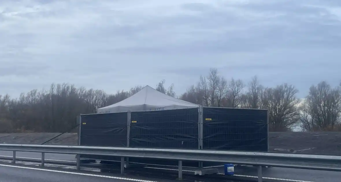 Politie onderzoekt fatale aanrijding - Foto 3