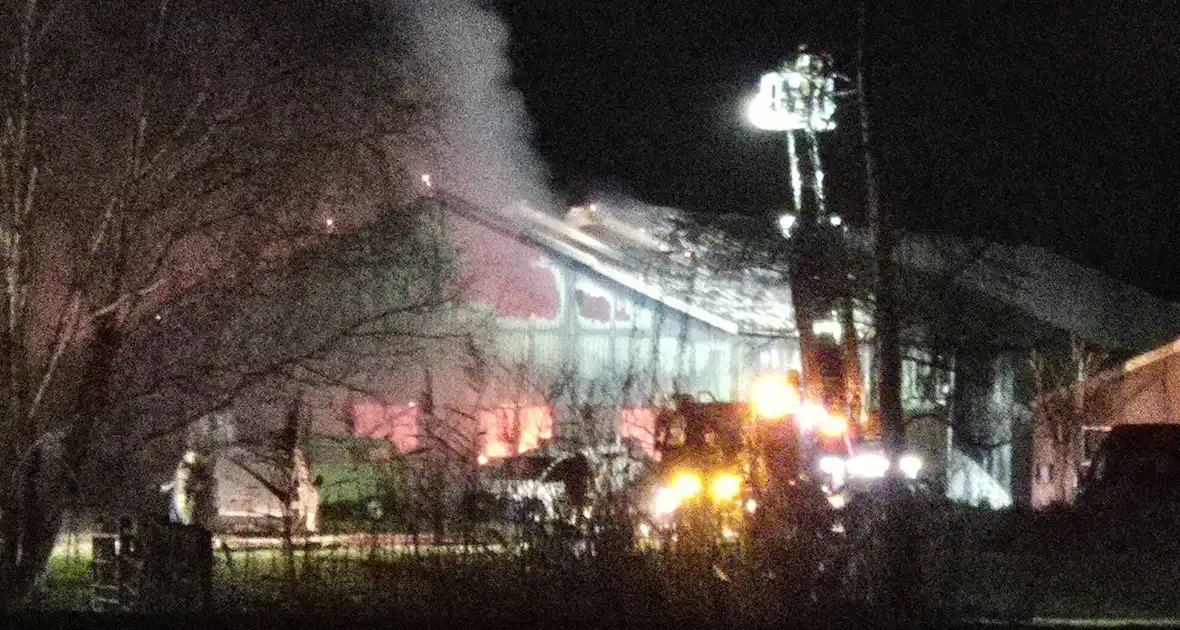 Paarden gered na brand in loods - Foto 3