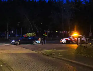 Auto met kerstboom op dak staande gehouden