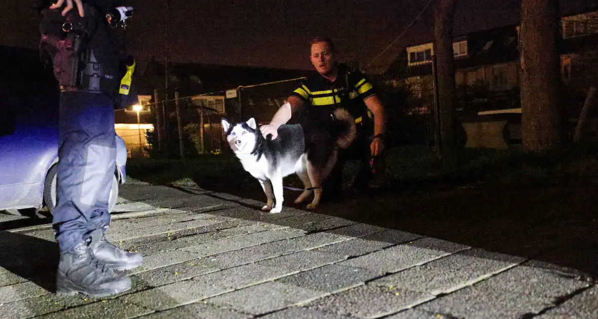 Explosie leidt tot woningbrand en ontruiming van twaalf woningen